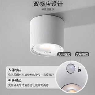 充电免接布线人体感应光感明装射灯入户门过道走廊灯楼道车库筒灯