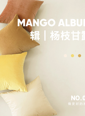 高品质 焦糖橙色天鹅绒抱枕轻奢风沙发靠垫套不含芯办公室腰枕