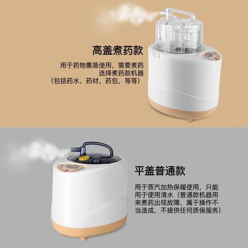 4升熏蒸机汗蒸机家用熏蒸仪蒸气机桑拿房熏蒸锅浴箱薰蒸器机