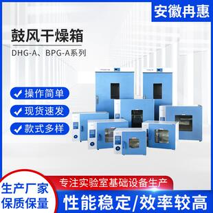 ABPG 鼓风干燥箱DHG A系列实验室气候环境设备干燥箱