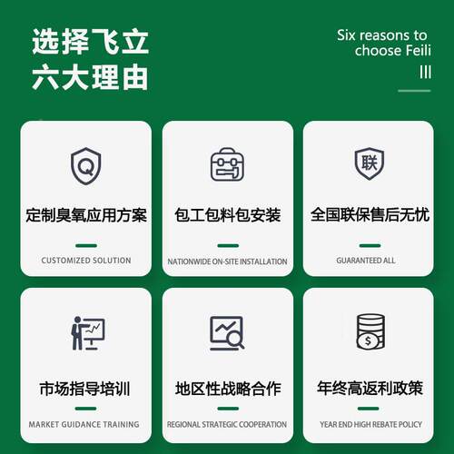 飞氧立斤级臭氧设备1~公5k殖g产量 制药厂养废水处理大型臭AFN发