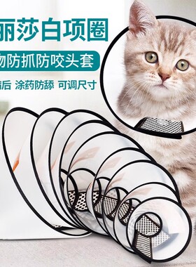 伊丽莎白圈猫咪狗狗项圈绝育圈宠物防咬圈术后防舔宠物伊莉莎白圈