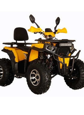 全新 ATV 四冲程四冲程汽油 110cc 农用摩托车越野四轮 (SL110X2)