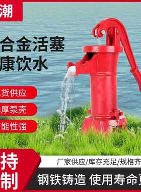 PITCHER PUMP美国二号泵手压水泵铸铁老式抽水机手动摇水泵水井泵