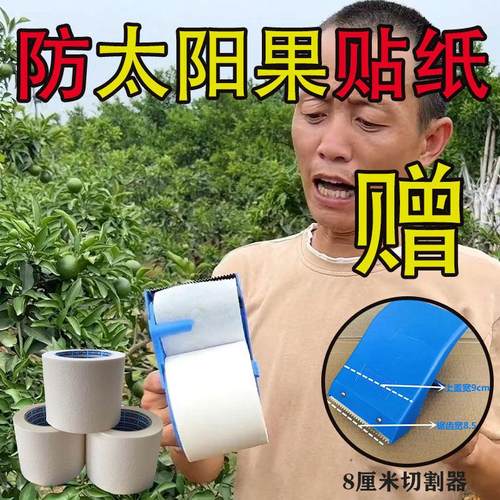 柑橘防太阳果贴纸防晒涂白剂果膜避免粑粑柑晚伦爱媛柚子日灼果子