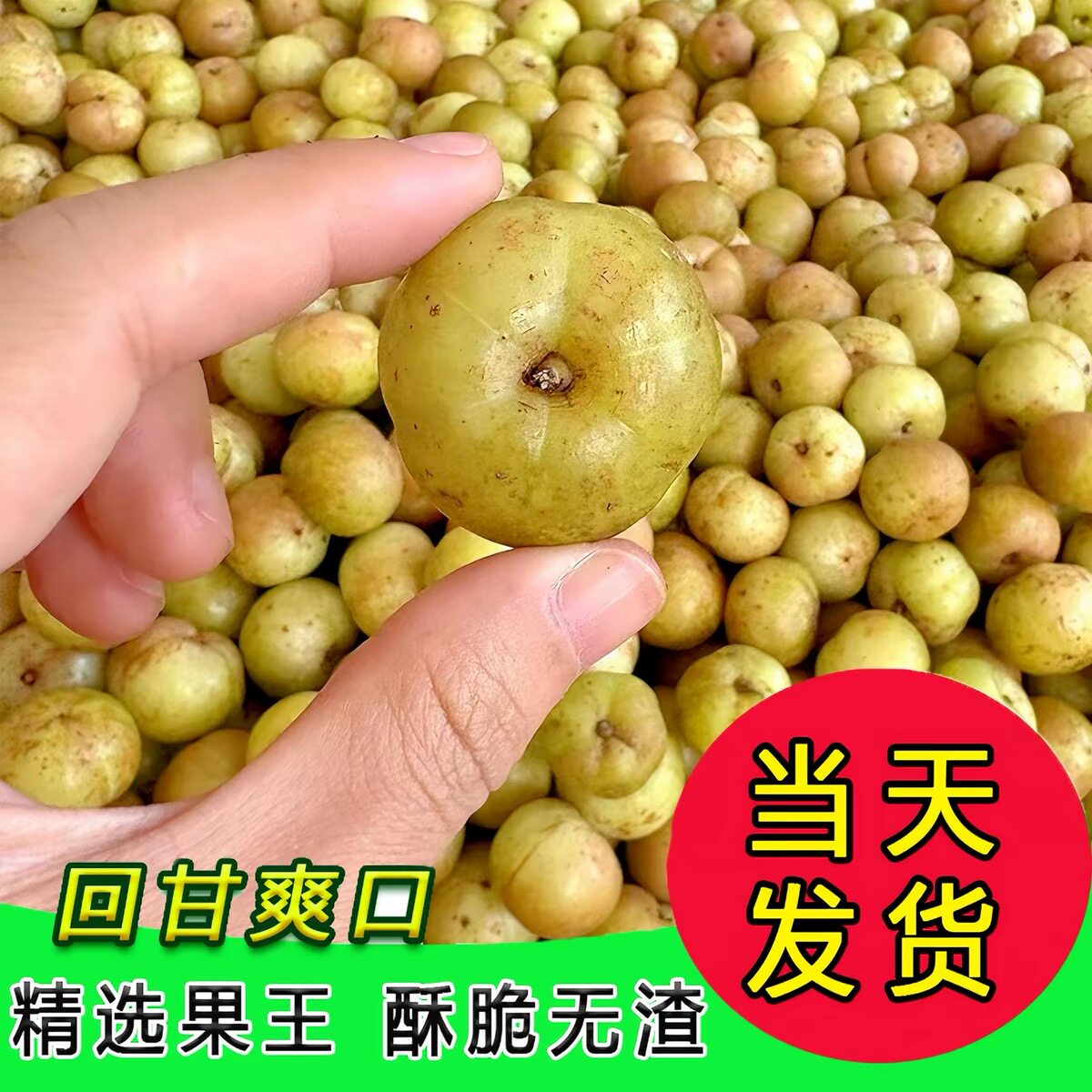 普宁崩坎新鲜甜油甘果