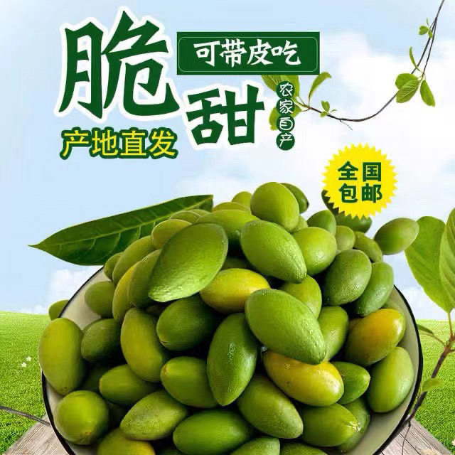 金灶正宗甜种冰糖橄榄特产新鲜孕妇甜鲜潮汕煲汤水果油甘果生吃
