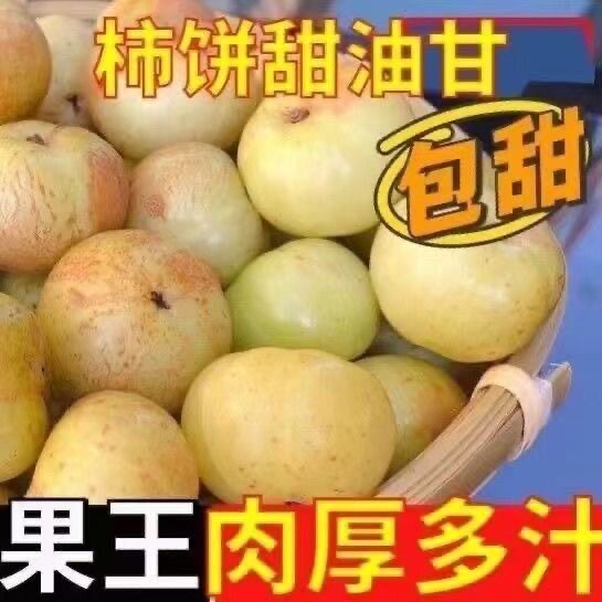 正宗潮汕特产新鲜甜油甘果