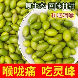 潮汕老树灵峰橄榄现摘酥脆生吃甘香甜种青橄榄果正宗特产孕妇水果