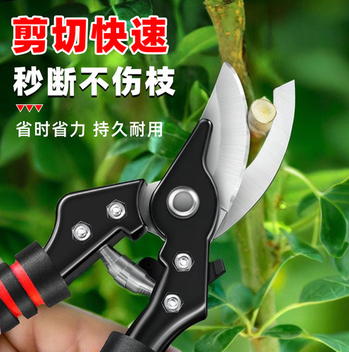 强力修枝剪不锈钢省力园林花艺盆景园艺粗枝剪大力剪多功能修枝剪