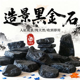 鱼缸造景石黑金石青龙石平头天然原生溪流石装饰石乌龟晒台水族箱