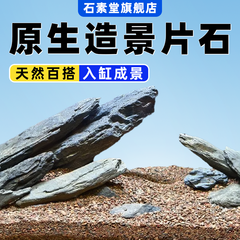 片岩石青龙石溪流石鱼缸造景石鱼缸专用天然真石头草缸盆景微景观