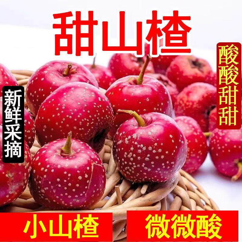 甜红子山楂果新鲜水果甜口野生小山楂红果做糖雪球用酸甜可口