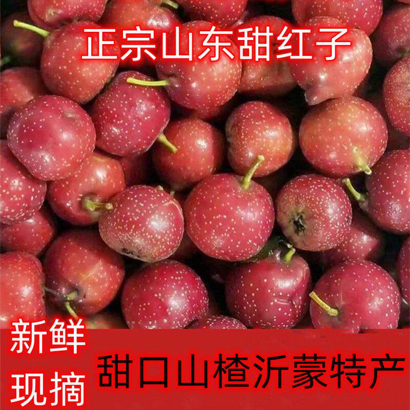 甜红子小野山楂新鲜山楂果现摘山里红果糖雪球专用农家水果当季