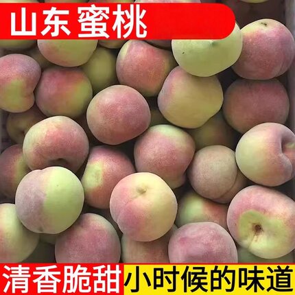山东蜜桃冬桃蜜桃毛桃桃子新鲜孕妇水果5斤3斤1斤产地直发