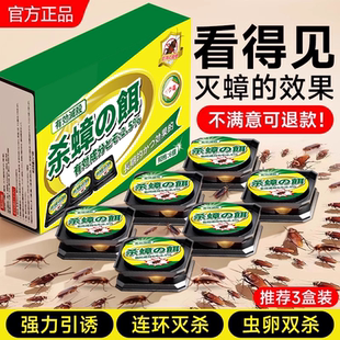 第强效端一名虫卵双杀灭除杀蟑胶饵专用 蟑螂药家用非无毒全窝正品