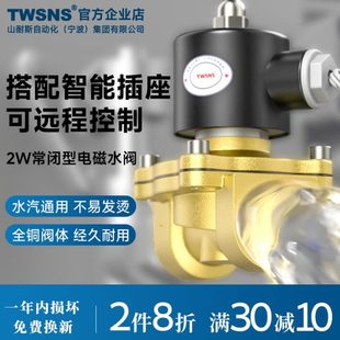 电磁开关阀水管电控水阀220v常闭型12v电动气阀常开24v汽车淋水器