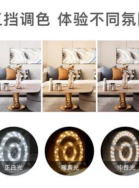 led吸顶灯灯芯灯盘灯板改造灯条圆形风扇灯专用模组替换光源贴片