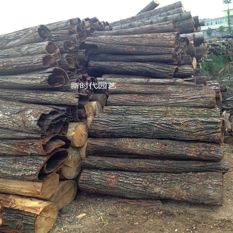 天然真树皮 柳树皮 包管道柱子 树皮装饰 道具用品 枯树 干树皮