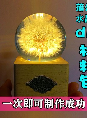 优选蒲公英标本水晶球diy制作原材料包天然干花永生花手工暖场活