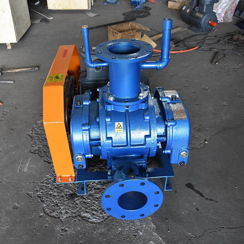 气力输送负压罗茨风机  负压罗茨真空泵生产厂家 曝气鱼塘增氧机