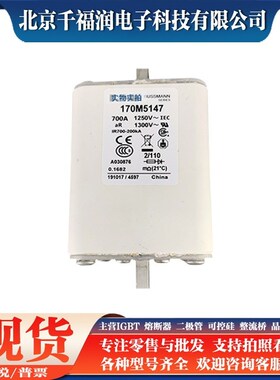 170M5146 170M5147   多功能 熔断器  全新原装 量大从优