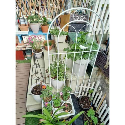 ll铁线莲爬藤架蔷薇月季种植户外栅栏庭院花架支撑杆铁艺攀爬架阳