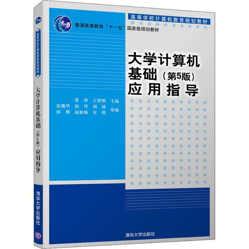 大学计算机基础应用指导（第5版）9787302509738清华大学出版社翟萍