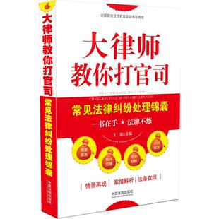 大律师教你打官司：常见法律纠纷处理锦囊9787509365700中国法制出版社王旭