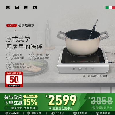SMESMEG/斯麦格PIC11便携式电磁炉家用多功能迷你触屏配温度探针