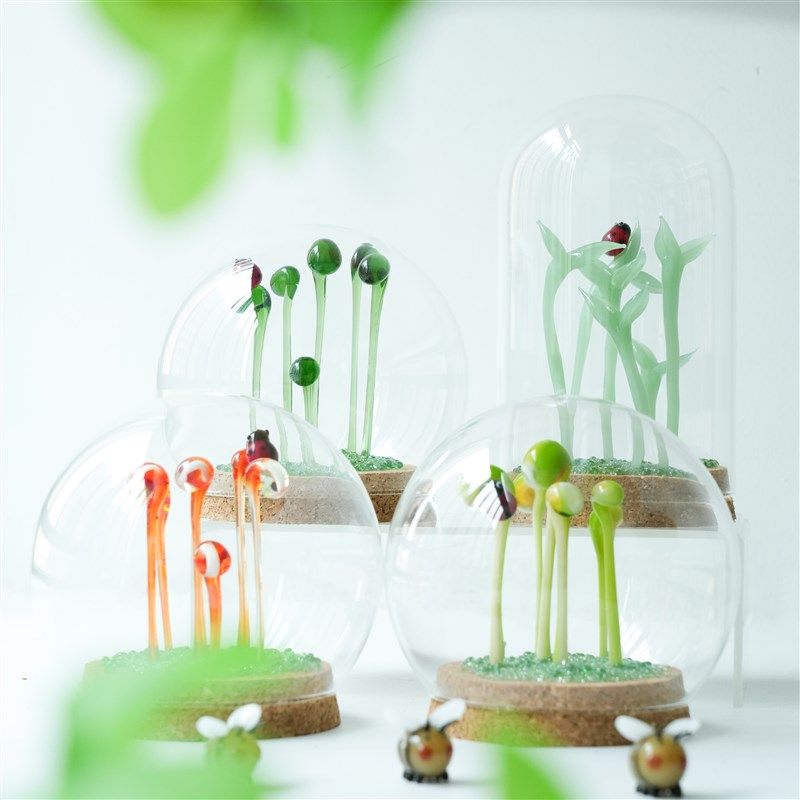 优选淄博琉璃豆芽盆栽玻璃罩微景观摆件创意办公桌装饰永生花治愈