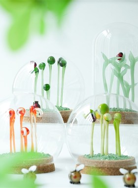 优选淄博琉璃豆芽盆栽玻璃罩微景观摆件创意办公桌装饰永生花治愈
