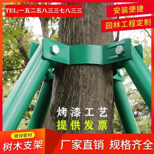 优选树木支撑杆树木支撑架大树防风支撑镀锌金属支架喷塑烤漆固定