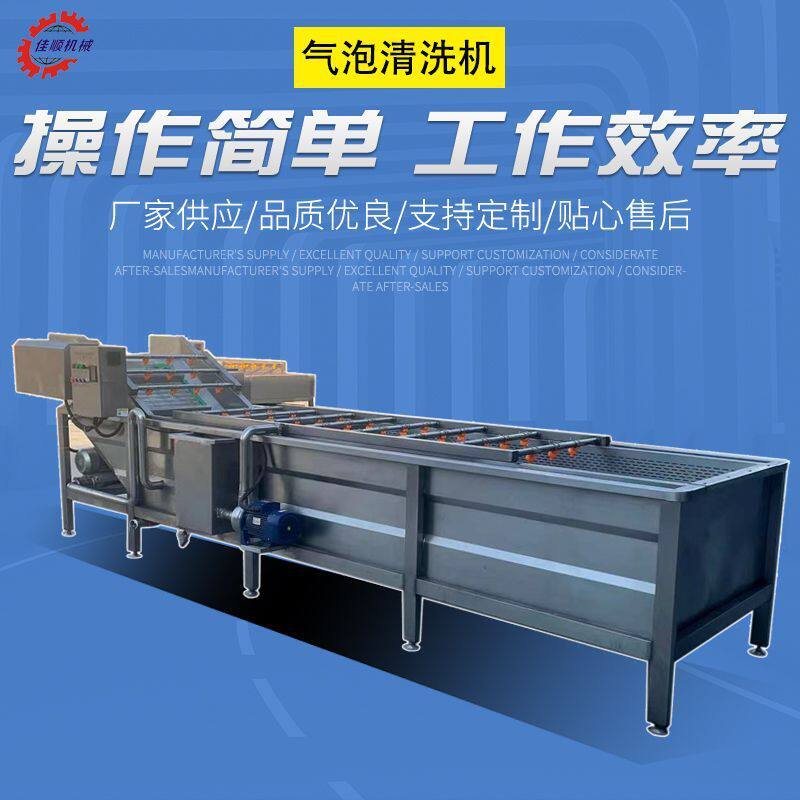 供应全自动大姜去泥清洗机 西红柿气泡清洗设备 果蔬气泡清洗机