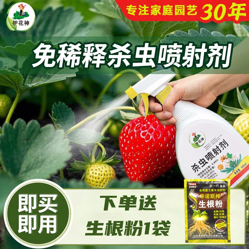 护花神免稀释直喷草莓杀虫剂除虫蚊蝇专用打虫药苗驱虫杀苍蝇蚊子