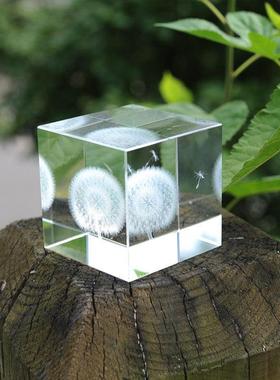 水晶蒲公英 diy定制生日礼物送女生男生立方体透明标本小礼品球