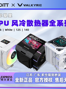 瓦尔基里CQ DQ AL SL DL EL ML AQ125 DX140风冷散热器 R125L