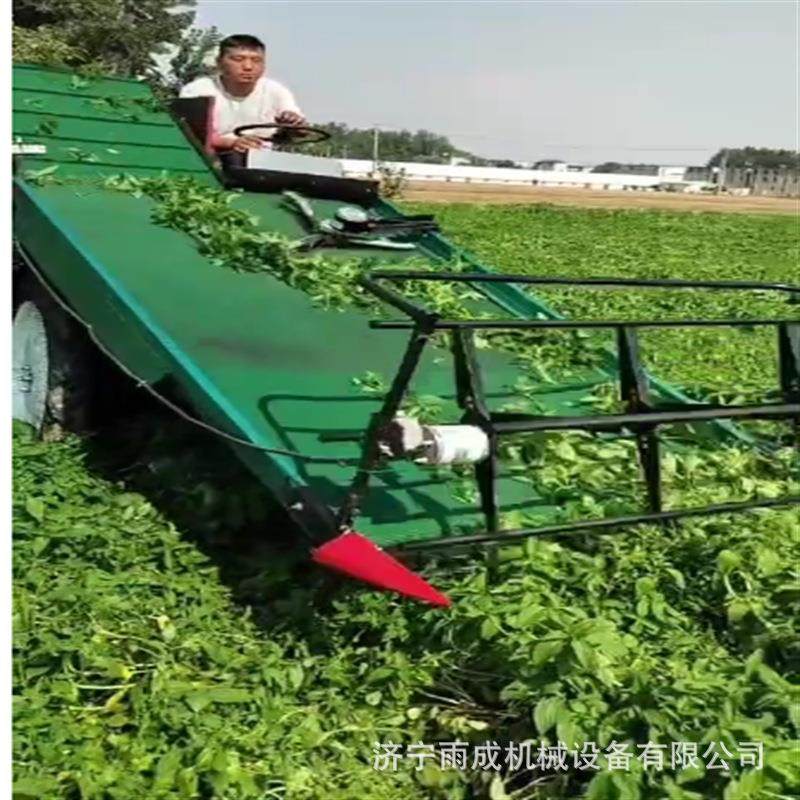 座驾式收菜机 全自动青菜收获机 电动带根油菜收割机,农机/农具/农膜,收割机械,淘宝优惠券,粉丝福利购,淘宝优惠卷