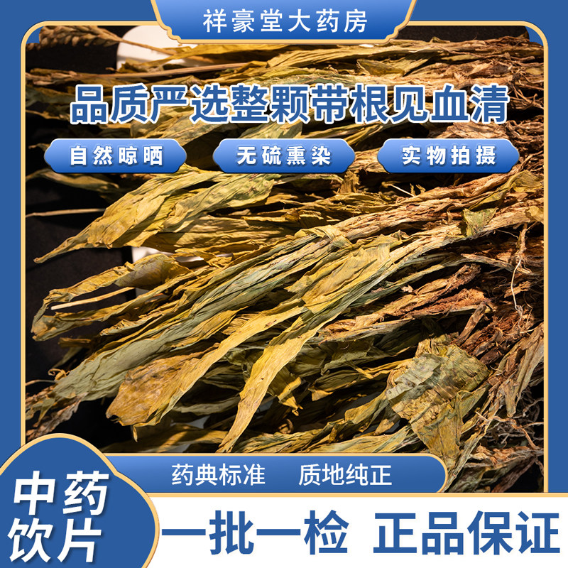 见血清中药材凉血止血清热解毒中药饮片见血清的功效羊蹄兰止血兰