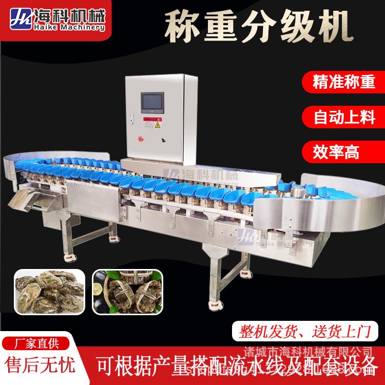 果蔬分级机凤梨火龙果芒果石榴哈密瓜重量分选机杨桃人参果选果机