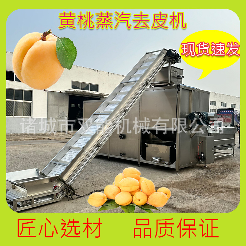 黄桃罐头生产加工流水线 桃子纯物理蒸汽去皮机不伤果肉