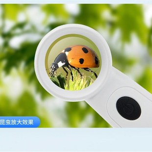 手持式 高倍珠宝带灯m60倍USB充电手表古玩首饰钢印专用电路板维修