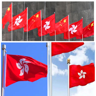 香港特别行政区区旗12345号大号四号五号纳米防y水标准户外型悬挂