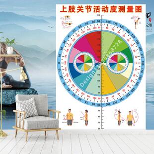 上肢关节活动度测量图墙贴壁画 画关节活动度评估检测表