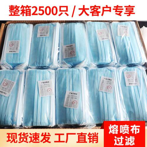 2500只整箱一次性口罩防