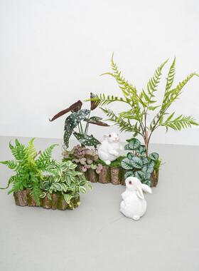 山野八日茶室茶宴摆件模拟绿色植物小风景木桩植物室内耐阴蕨类植