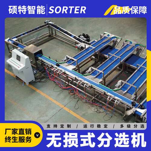 草莓称重选果机 杨梅无损测糖重量分选机 蟠桃果托防磕碰分拣机