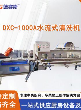 供应食品/饮料加工定制及餐饮行业设备DXC-1000A水流式清洗机