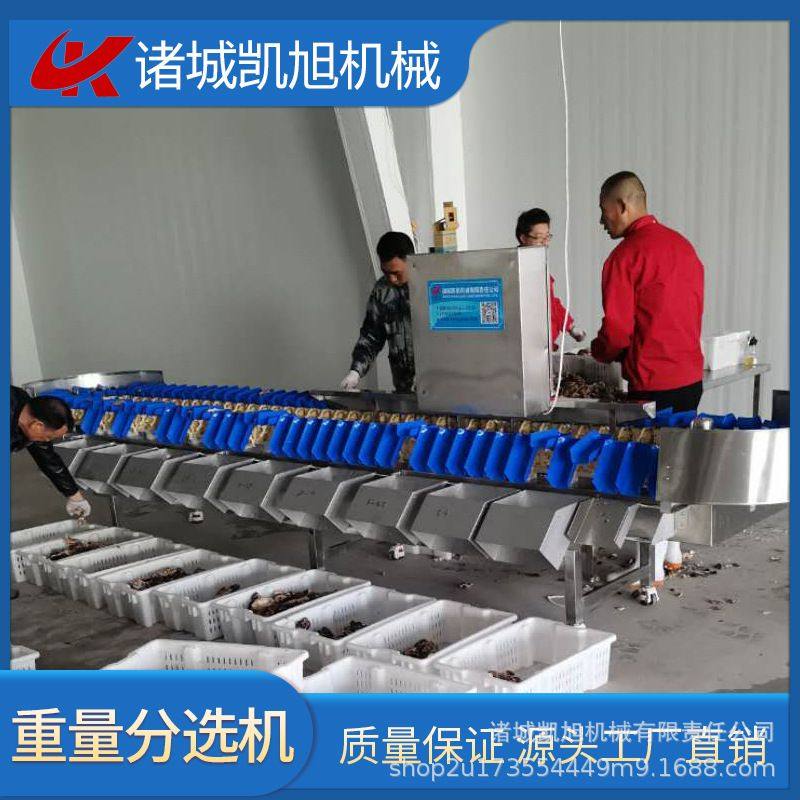 海参鲍鱼全自动称重分级机鲍鱼重量分拣机食品在线检重秤 凯旭,清洗/食品/商业设备,选果机/分选机,淘宝优惠券,粉丝福利购,淘宝优惠卷