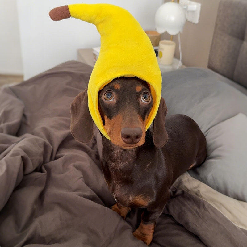 香蕉狗帽子宠物衣服头饰创意火鸡狗狗猫咪头套腊肠泰迪小型犬用